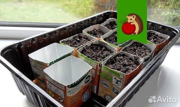 Коробка для дачи