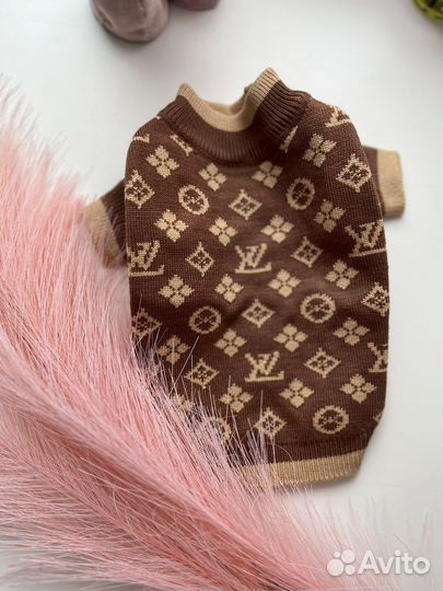 Gucci одежда для собак