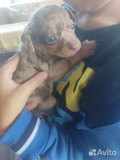 Мальчик Мраморный