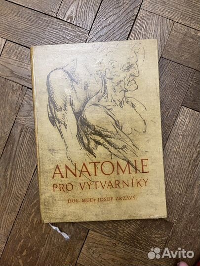 Анатомия для художников чехия