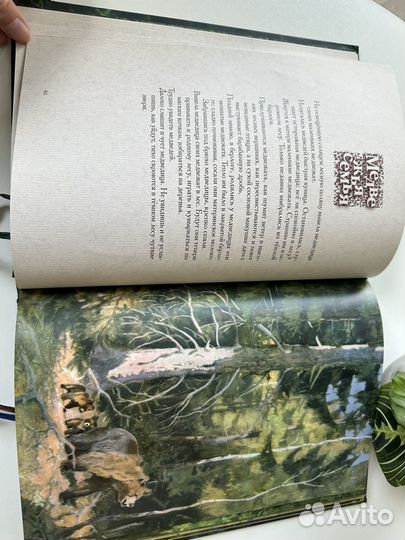 Год в лесу, Соколов-Микитов И.С., Речь, 2013