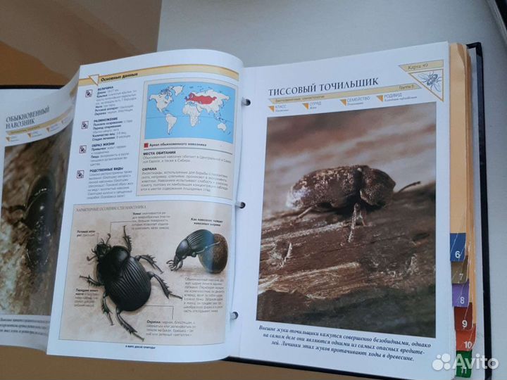 Книги энциклопедии детские