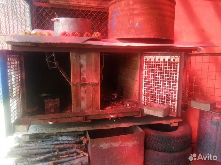 Клетка для кроликов