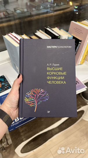 Высшие корковые функции человека Лурия