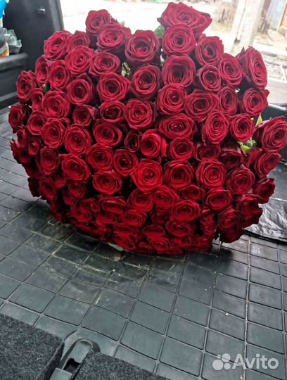 Розы букет цветов опт