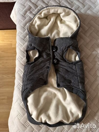 Одежда для собак