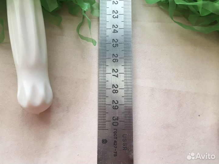 Помпоны пипидастры