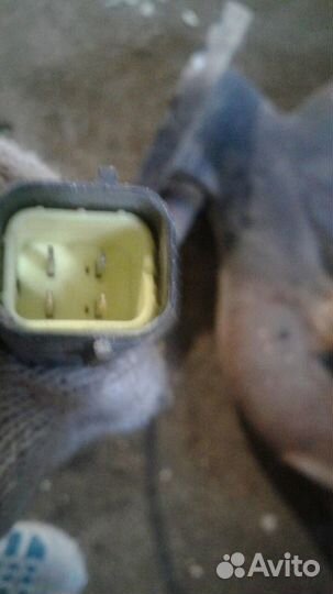 Датчик кислородный/Lambdasonde daewoo Nexia 1995