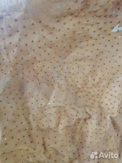 Натуральная кожа страуса