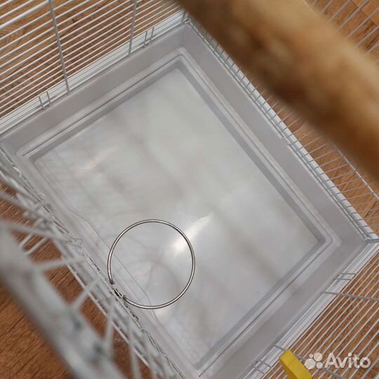 Клетка большая