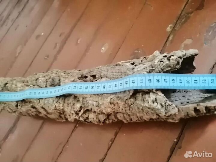 Кора пробкового дерева