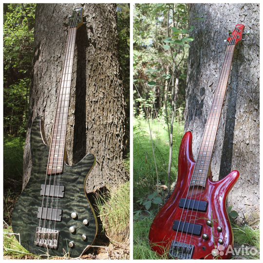 Гитары из Японии на любой вкус