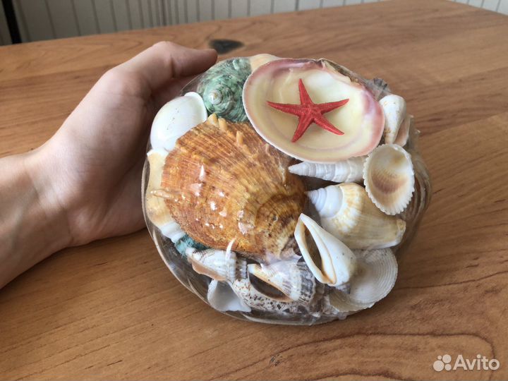 Корзиночка с ракушками новая