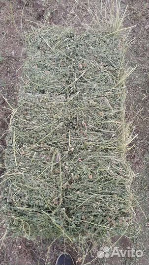 Сено в тюках и рулонах