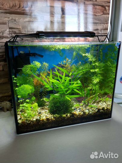 Аквариум 30л