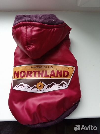 Одежда для маленьких собак чихуа