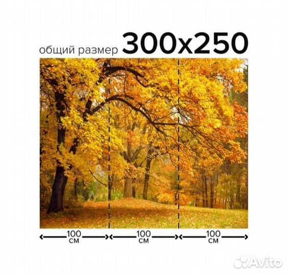 Фотообои 3D