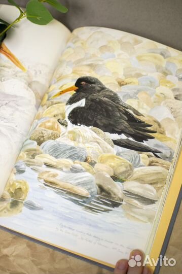 Книга The Silvery Tay: Paintings and Sketches