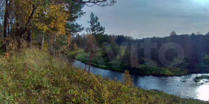 Участок 6,1 га (СНТ, ДНП)