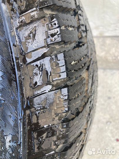 Accelera Delta 205/55 R16