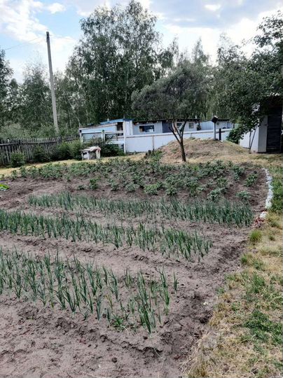 Участок 15 сот. (СНТ, ДНП)