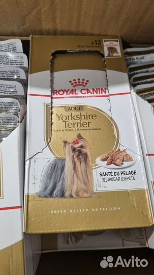 Влажный корм Royal Canin