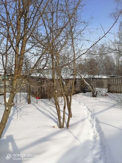 Дом 65 м² на участке 6 сот.