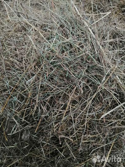 Сено в мешках. Тюках