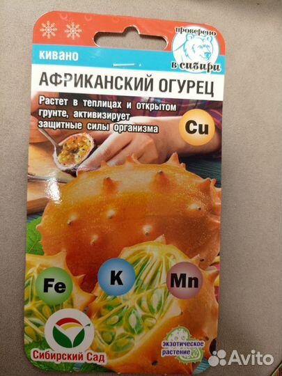 Рассада Кивано и Бамии