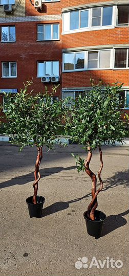 Искусственное дерево Олива