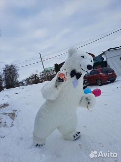 Милый Мишка на праздник