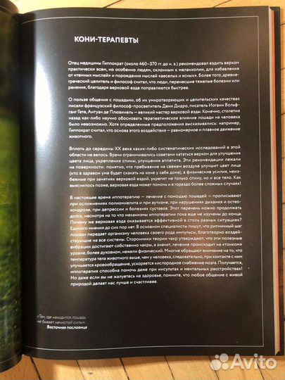 Невероятные лошади Наталья Франк