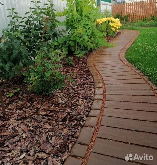 Кора лиственницы сибирской