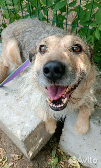 Верный ждёт своего человека