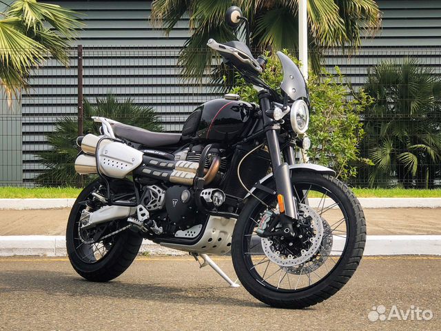Triumph Scrambler 1200 / прокат мотоциклов в Сочи в Сочи | Услуги | Авито