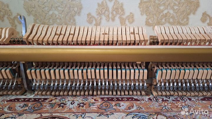 Механика для пианино Аккорд