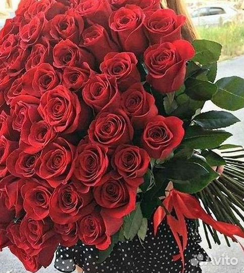 101 роза цветы букеты доставка 25 51 101 роза