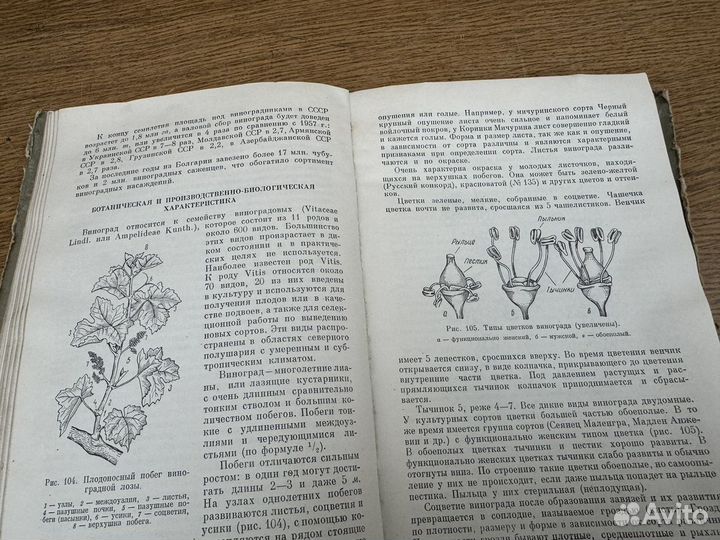 Плодоводство книга 1962 год