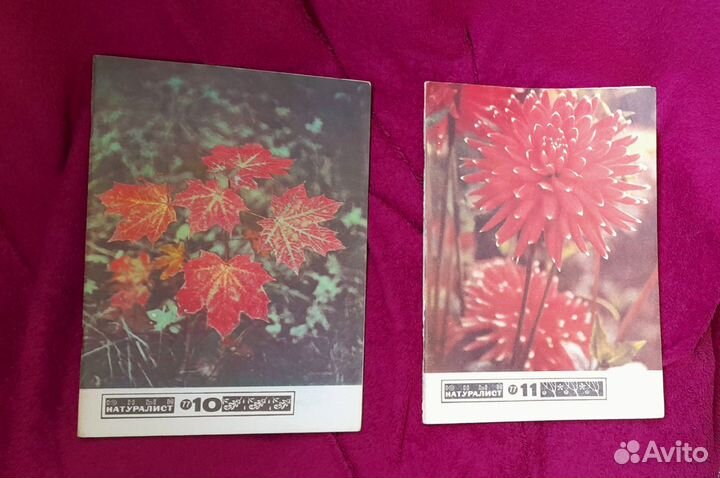 Журналы Юный натуралист. СССР. 70-е г.г