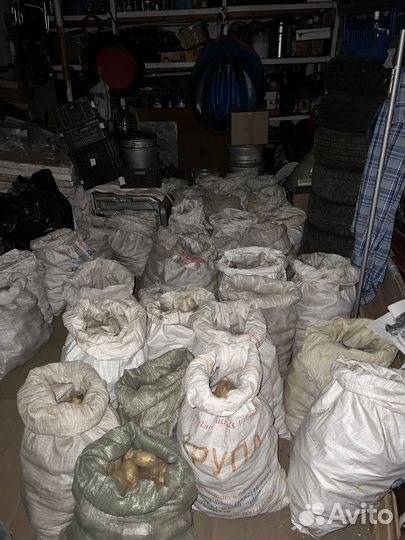 Картофель гала