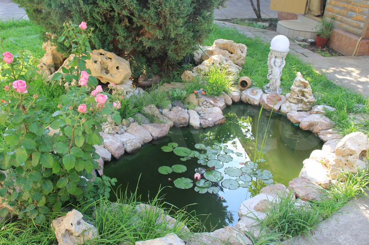 Комната 20 м², 1/2 эт.