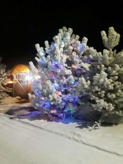 Участок 5 сот. (ИЖС)