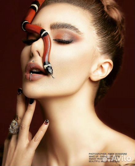 Фотосессия со змеями