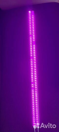 Фитолампы для растений