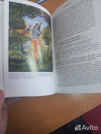 Бхагавад-гита Как она есть