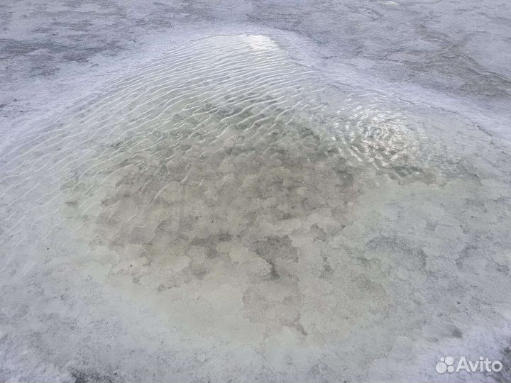 Соль (о.Бурсоль) Алтайский край