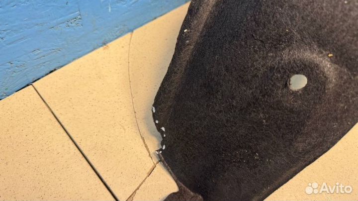 Локер задний правый Toyota RAV4 656370R050