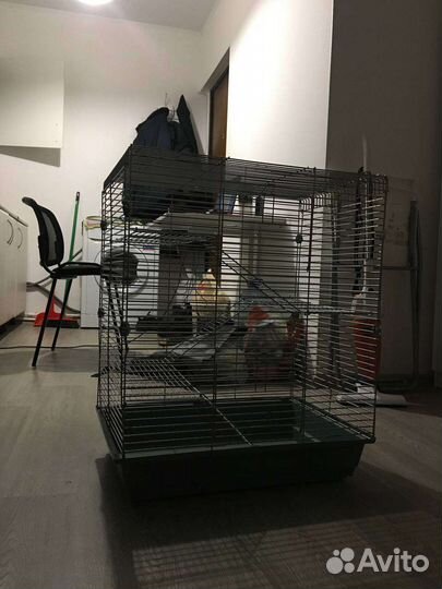 Клетка для грызунов бу