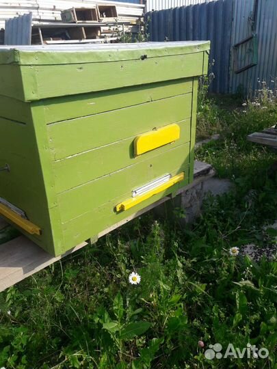 Ульи для пчел бу дадан