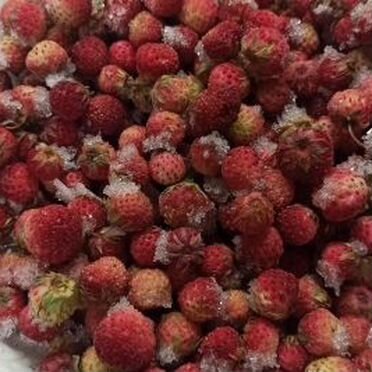 Замороженная полевая клубника